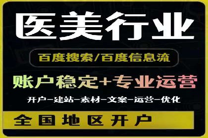 某行业SEM投放效果显著案例分享